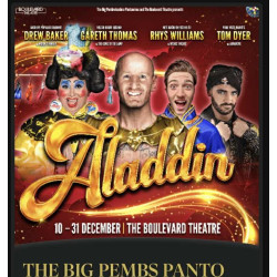 Aladdin 2025 Panto Hoodie