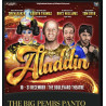 Aladdin 2025 Panto Hoodie